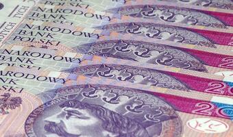 MPiT: Fitch potwierdził dobrą sytuację  Polski