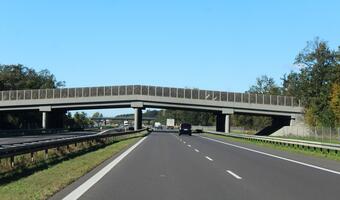 GDDKiA: w tym roku przetargi na jeszcze ponad 200 km dróg