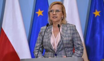 Min. Moskwa w Brukseli: Polska jest krajem fotowoltaiki