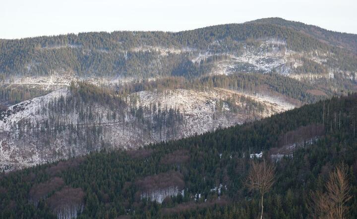 Beskidy / autor: fot. Fratria