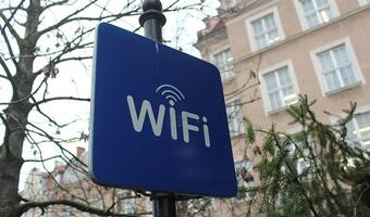Jak uchronić się przed porwaniem domeny internetowej?