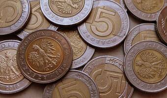 Polski złoty odrobił ostatnie straty