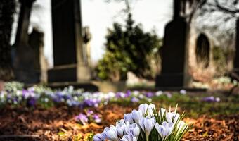 Branża pogrzebowa: Szara strefa skutkiem luk w prawie