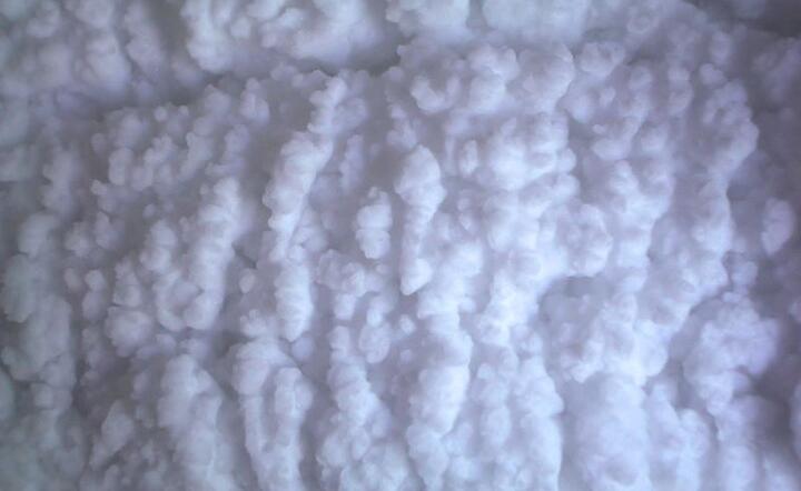 www.sxc.hu