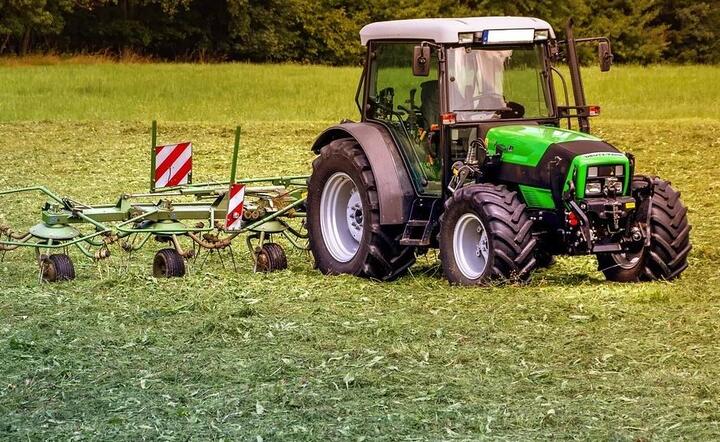 Farma  / autor: Pixabay 