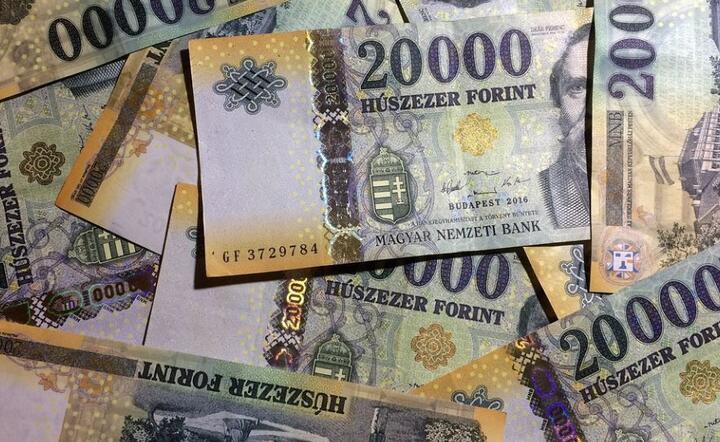Forint / autor: Pixabay 