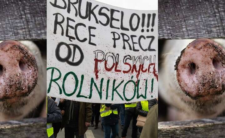 Czy w piątek wróci na ulice Warszawy transparent z demonstracji rolników z lutego 2024 roku? / autor: Fratria / Andrzej Wiktor / Pixabay