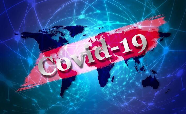 Koncern Johnson&Johnson ogłosił, że najdalej we wrześniu 2020 chce rozpocząć testowanie szczepionki na ludziach. / autor: Pixabay