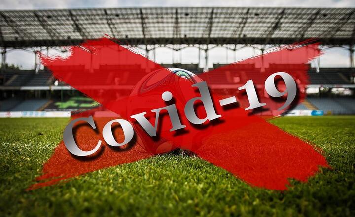 Rząd Danii rozważa coraz większe otwarcie stadionów   / autor: Pixabay