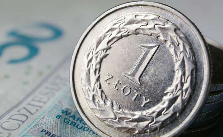 Po silnym spadku inflacji RPP zdecydowała się na kolejną obniżkę stóp procentowych / autor: Pixabay