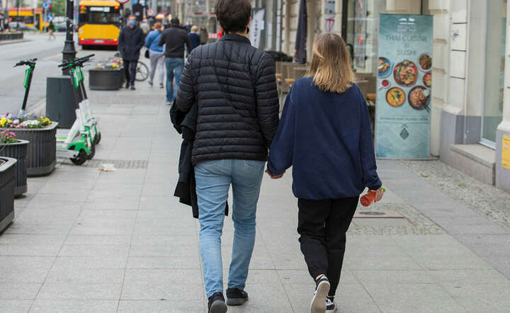 Polacy / autor: Pixbaay