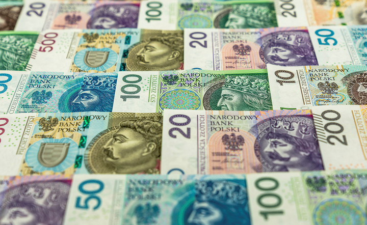 Zdjęcie ilustracyjne / autor: Fratria