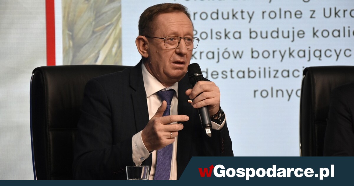 Ukraina gra tylko o dostęp do unijnego rynku