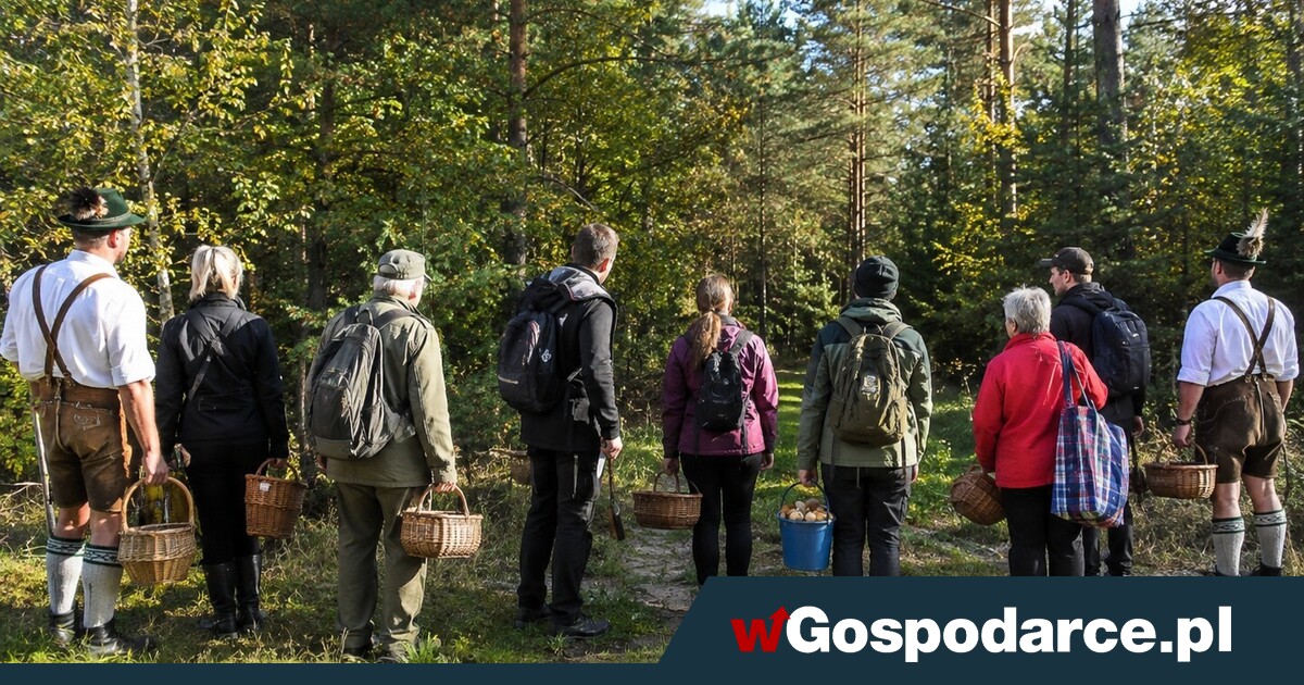 Niemcy szturmują polskie lasy. Skarbówka na posterunku