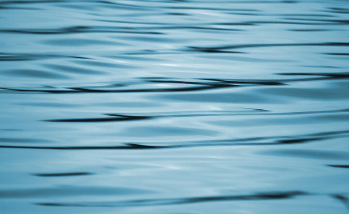 autor: www.sxc.hu