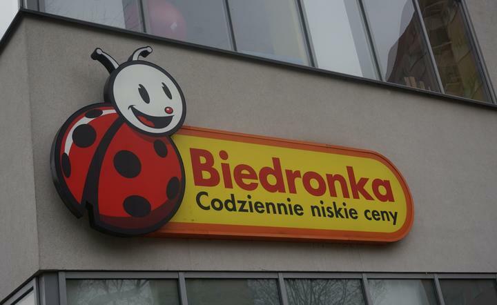 Biedronka / autor: fot. Fratria