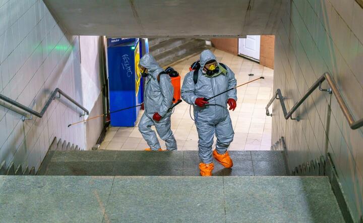 Koronawirus / autor: fot. Fratria