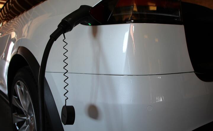 Czy Tesla w 2020 roku ponownie zaskoczy świetnymi wynikami jak i niecodziennymi projektami? / autor: Pixabay