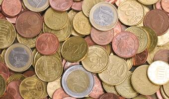 Dziennik Gazeta Prawna: Polacy są przeciwni wejściu do strefy euro