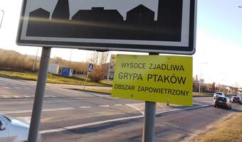 Ptasia grypa w Sopocie!
