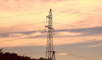 Szwedzkie źródła energetyczne w gotowości na polskim rynku mocy