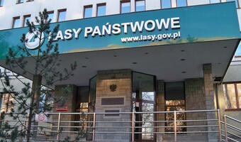 PGNiG wchodzi we współpracę z Lasami Państwowymi. W służbie klimatowi!