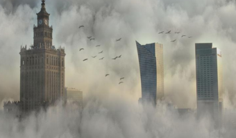Za prezydentury Trzaskowskiego tną w stolicy drzewa na potęgę. Co na to ekolodzy?