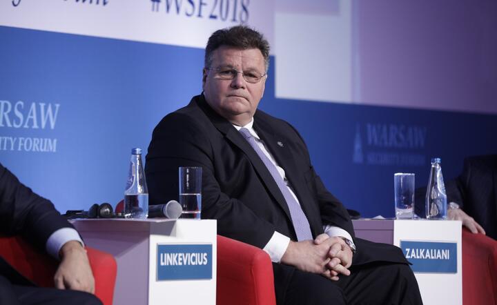 Linas Linkeviczius / autor: warsaw security forum