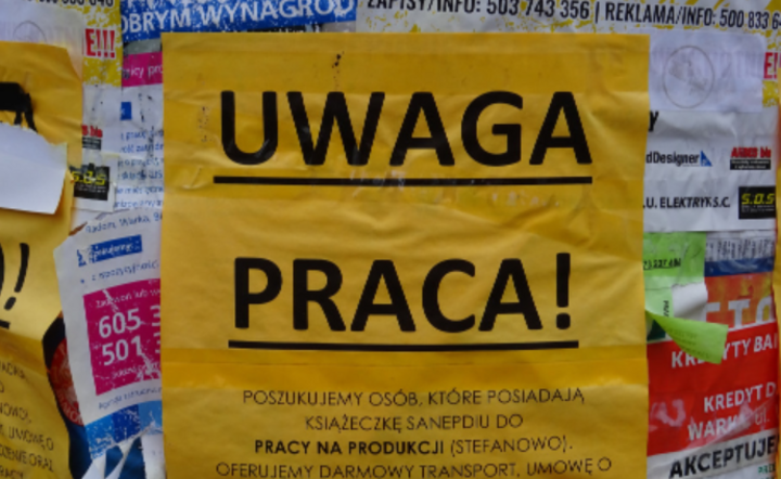 Ogłoszenie o pracę / autor: Fratria