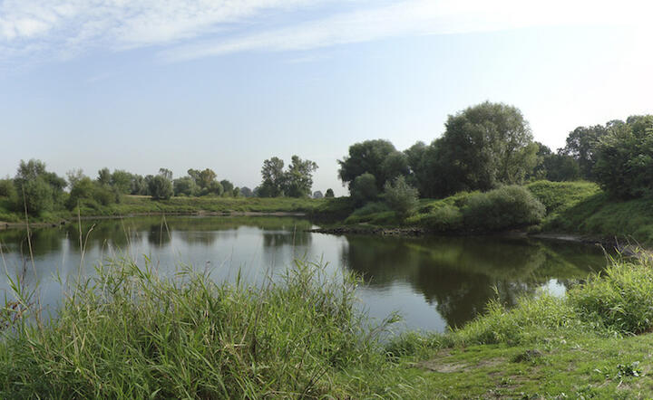 Odra w okolicach Brzegu Dolnego, fot. Wikipedia/Jan Skrodzki - Praca własna/GFDL