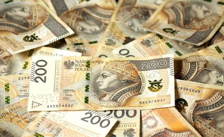 Banknoty / autor: Pixabay