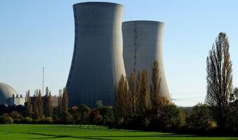 Dostawcy technologii atomu: 50 proc. wartości z Polski