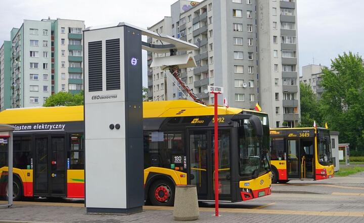 Autobus / autor: fot. Fratria