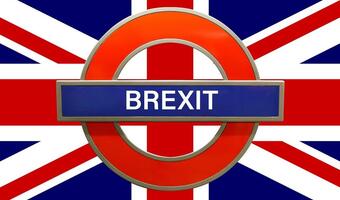 Będzie drugie referendum ws. brexitu