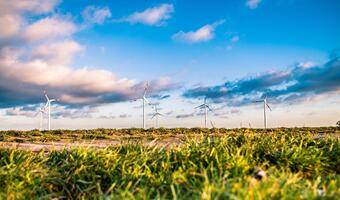 Komisja chce większego udziału odnawialnych źródeł energii. Ale może to uderzyć w polskie firmy energetyczne