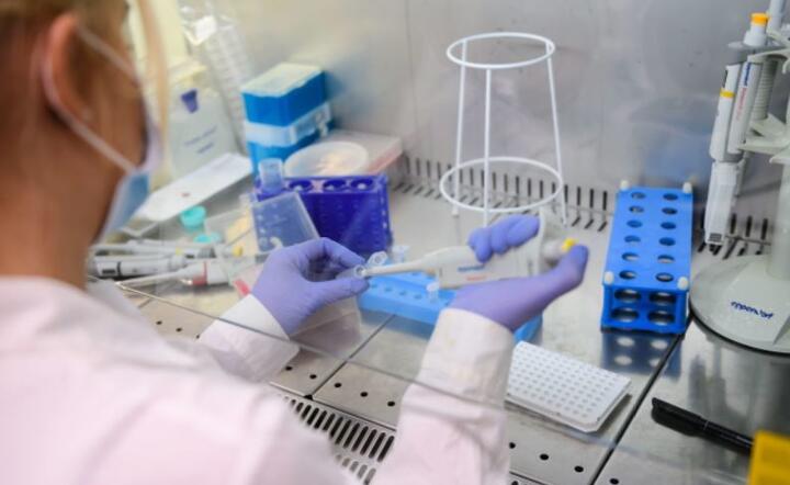 Koronawirus w Polsce. Laboratorium Instytutu Chemii Bioorganicznej Polskiej Akademi Nauk w Poznaniu, 22 bm., gdzie opracowano pierwszy polski test na obecność koronawirusa SARS-CoV-2 / autor: PAP/Jakub Kaczmarczyk