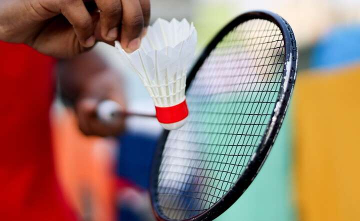 Badminton / autor: Pixabay