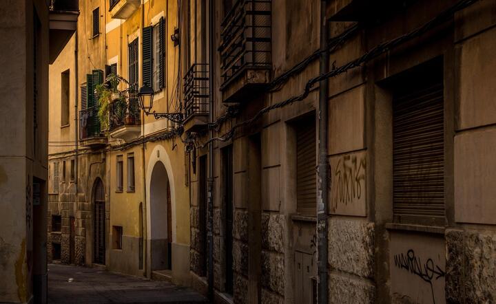 Palma na Majorce / autor: Pixabay