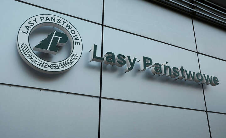 Lasy Państwowe / autor: Fratria