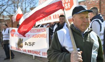 Rolnicy walczą o odszkodowania