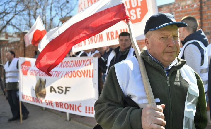autor:  	PAP/Jacek Turczyk